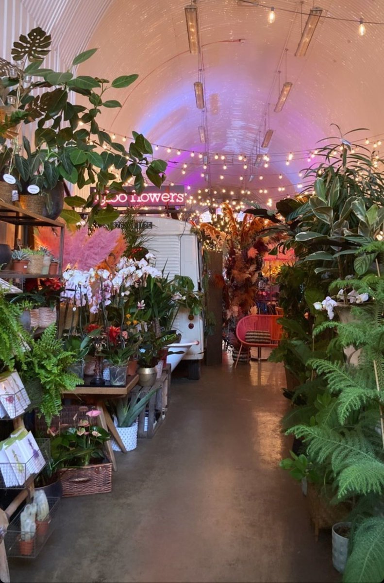 “Just because you’ve only got houseplants doesn’t mean you don’t have the gardening spirit...' 

Gorgeous image of our gorgeous HQ via #biancaluciarus  

#plantsmakepeoplehappy #weloveplants