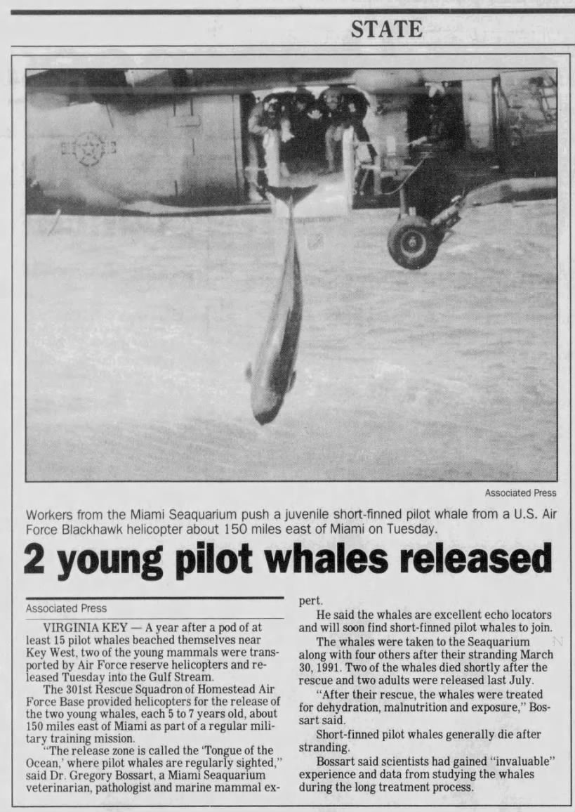 Friendly Reminder that the Miami SeaQuarium has only ever released FIVE cetaceans in their almost 70 years of operation, and that two of those five were returned to the sea by being pushed out of a helicopter.