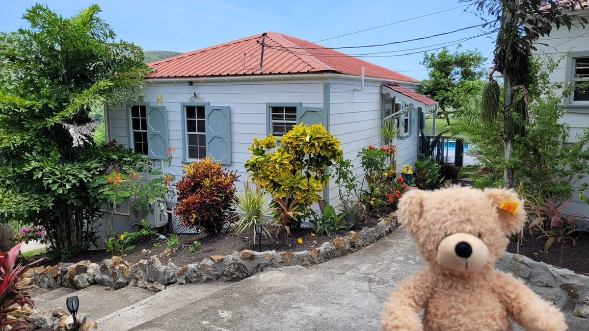 Back in Antigua! This house looks nice! I'll have this one please! #Flynn #FlynnTheBear #Antigua