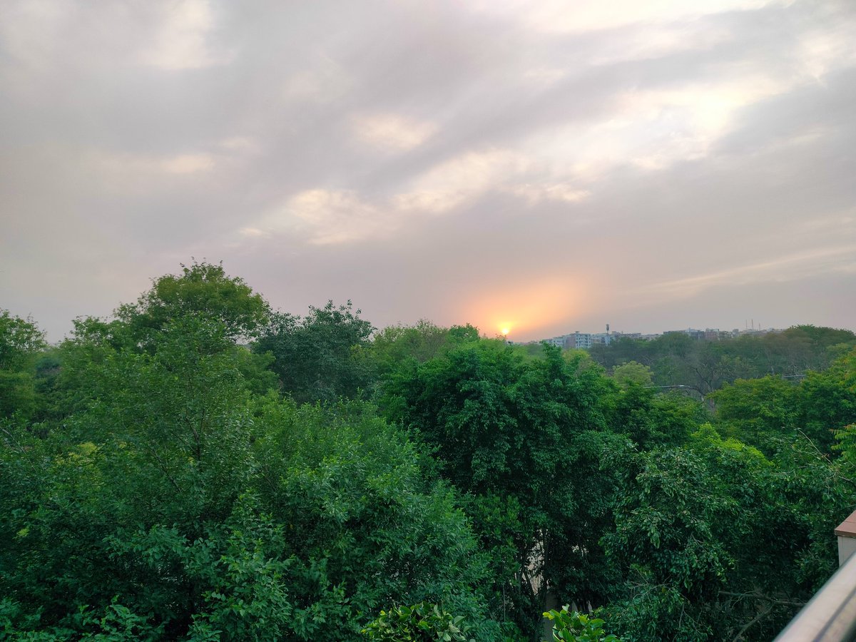 RehanBatt's tweet photo. Nature's beauty on full display. A breathtaking sunset over a lush green forest. #sunset #nature https://t.co/2xqSWfIKM5