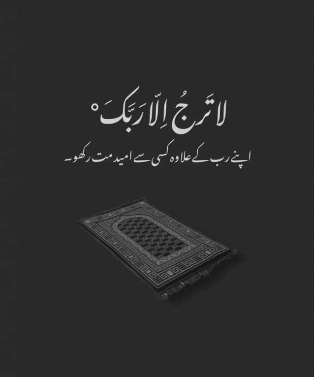 Assalam o aliakum friends 🤩
Have a special day 🤗😍
My X diamonds 💎💎