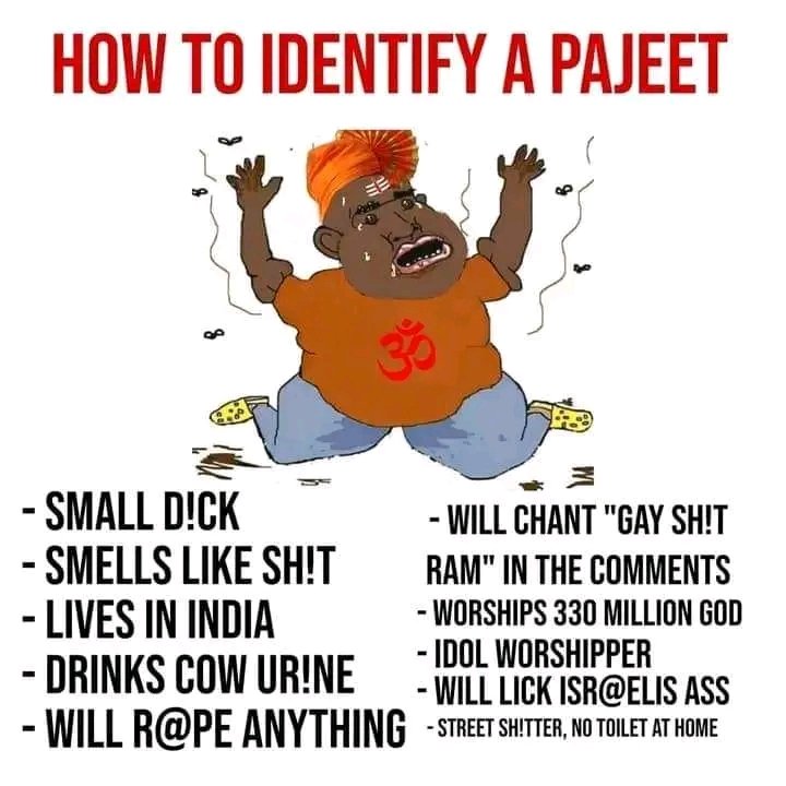 Definition of a pajeet: