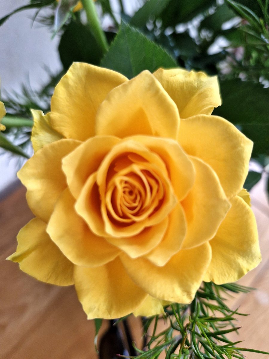 🎶Bring flowers of the rarest Bring blossoms the fairest From garden and woodland and hillside and dale🎶 #Bealtaine #Blessings 🙏 #May1st #RoseWednesday