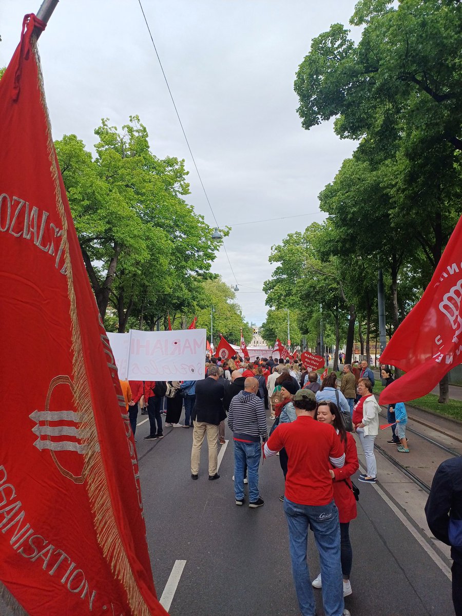 Rathausplatz wir kommen!