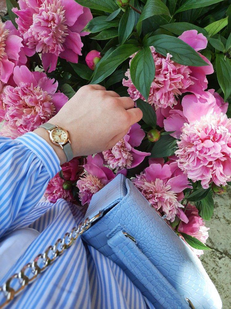 alsabaha2's tweet photo. 💞🌺

🍃🦋💌

الصمت وحده من يجعلك مرتباً أمام الآخرين،ويخفي كل الفوضى التي بداخلك

🍃🦋💌 https://t.co/lAwbYwv1LQ