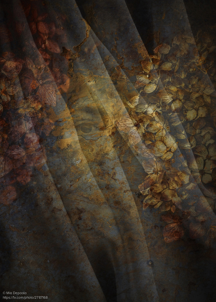 Artsy portrait titled 'Veiled' by Mia Depaola
1x.com/photo/2787168/… #portrait #veiled #fineart