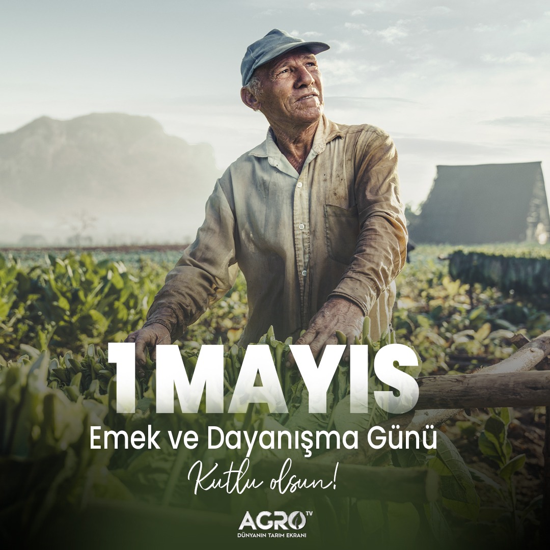 'Emek olmadan hiçbir şey yetişmez.' 1 Mayıs Emek Ve Dayanışma Günü kutlu olsun! #agrotv #tarım #ciftci #çiftçi #1mayısişçibayramı #emekvedayanısmagünü #mısır #buğday #1Mayıs