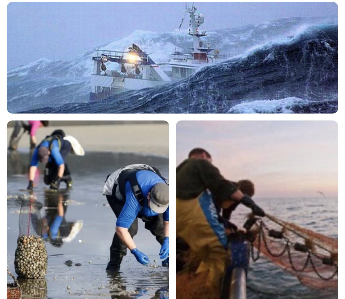 Happy #InternationalWorkersDay specially to key workers as #fishers for their critical occupation & essential role providing food security in the fisheries supply chain