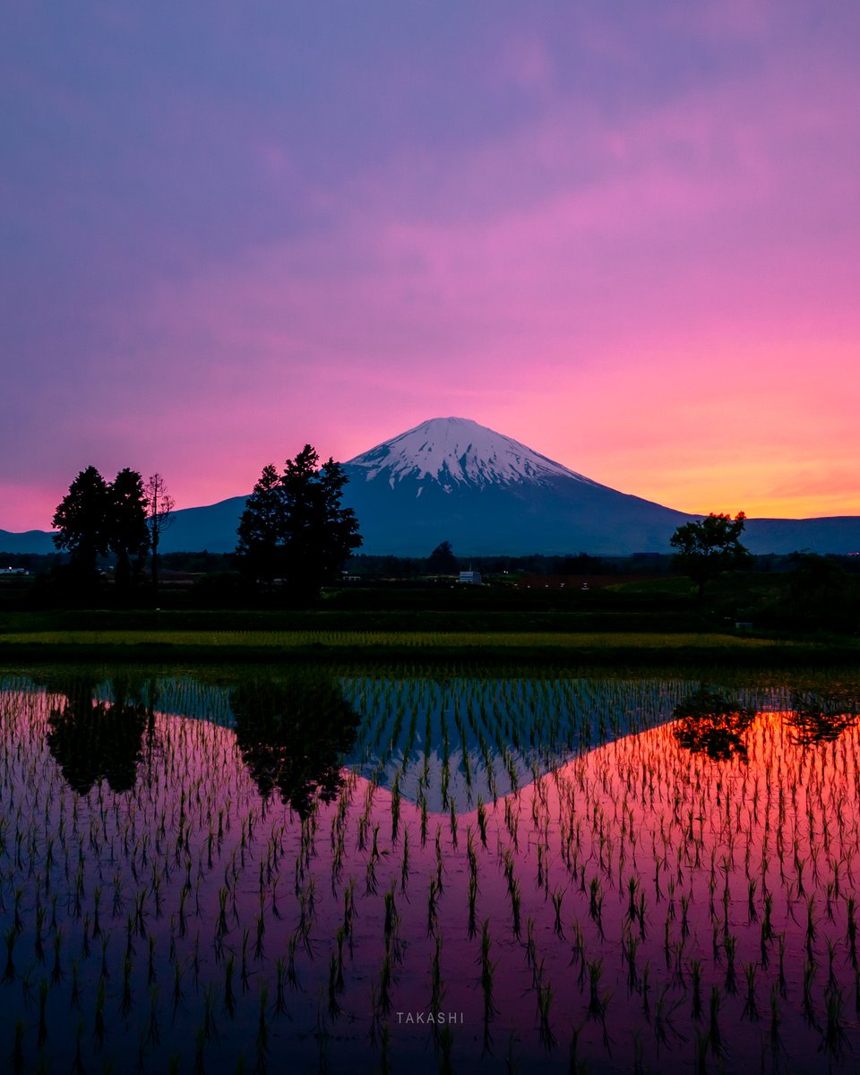 🗻
田んぼに映る夕焼け

Sunset reflected in the rice field