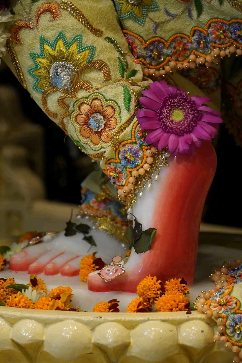 Beautiful Lotus Feet Darshan ❤