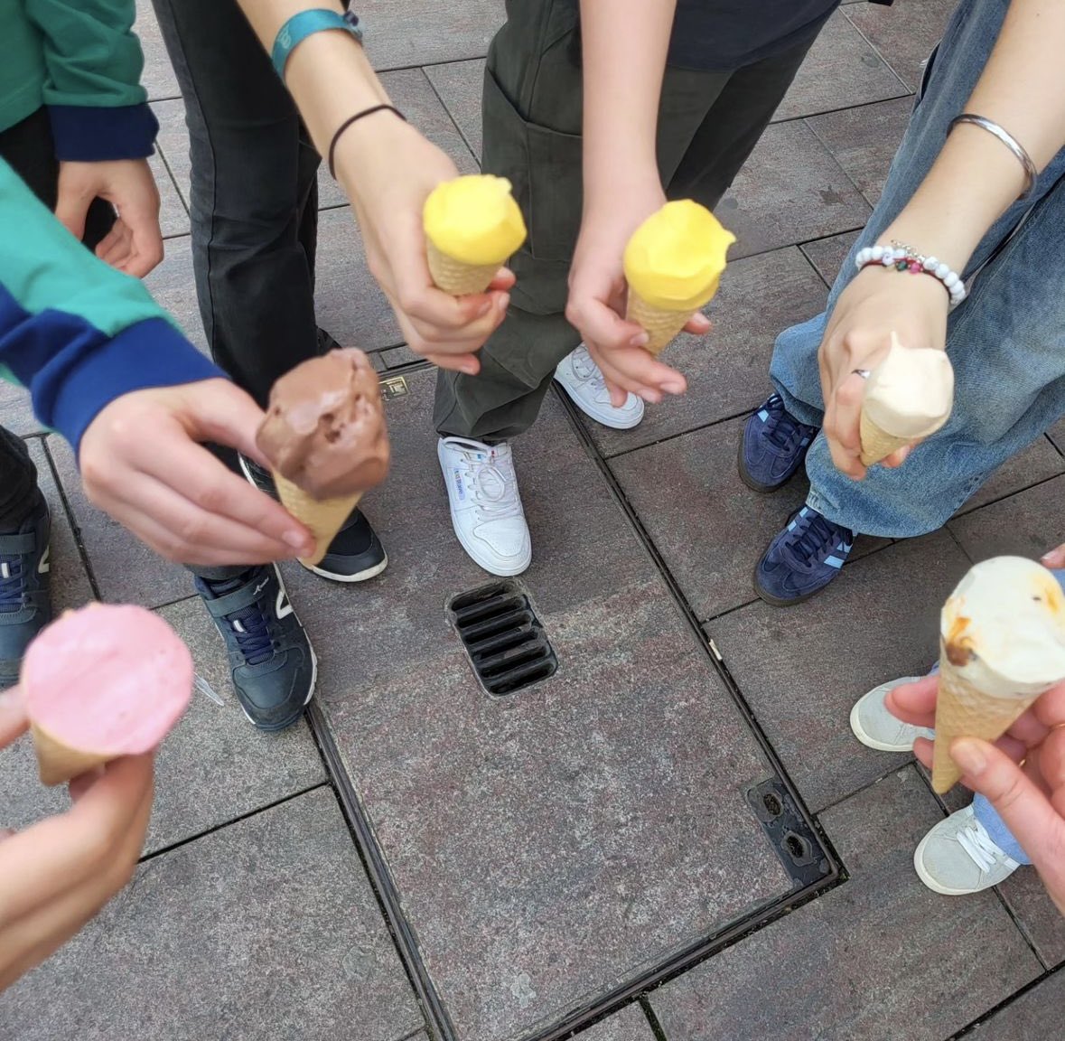 Collège Jacques Ellul tweet media