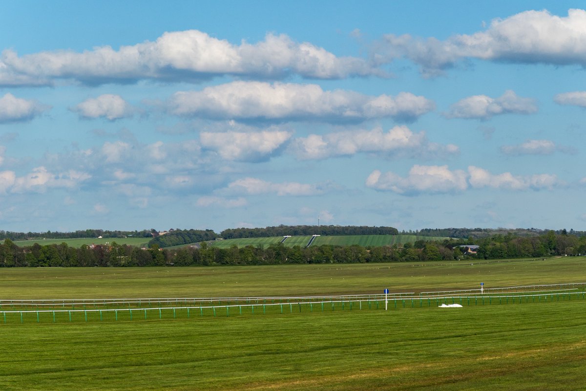 Newmarket views.
1 standing at the 9.5 furlong point on the @NewmarkRace Rowley Mile course
2 standing by the reservoir looking over @NewmarketGallop Racecourse Side/Southfields to Warren Hill & Long Hill in the background.
#horseracing #newmarketgallops @cmoreton99