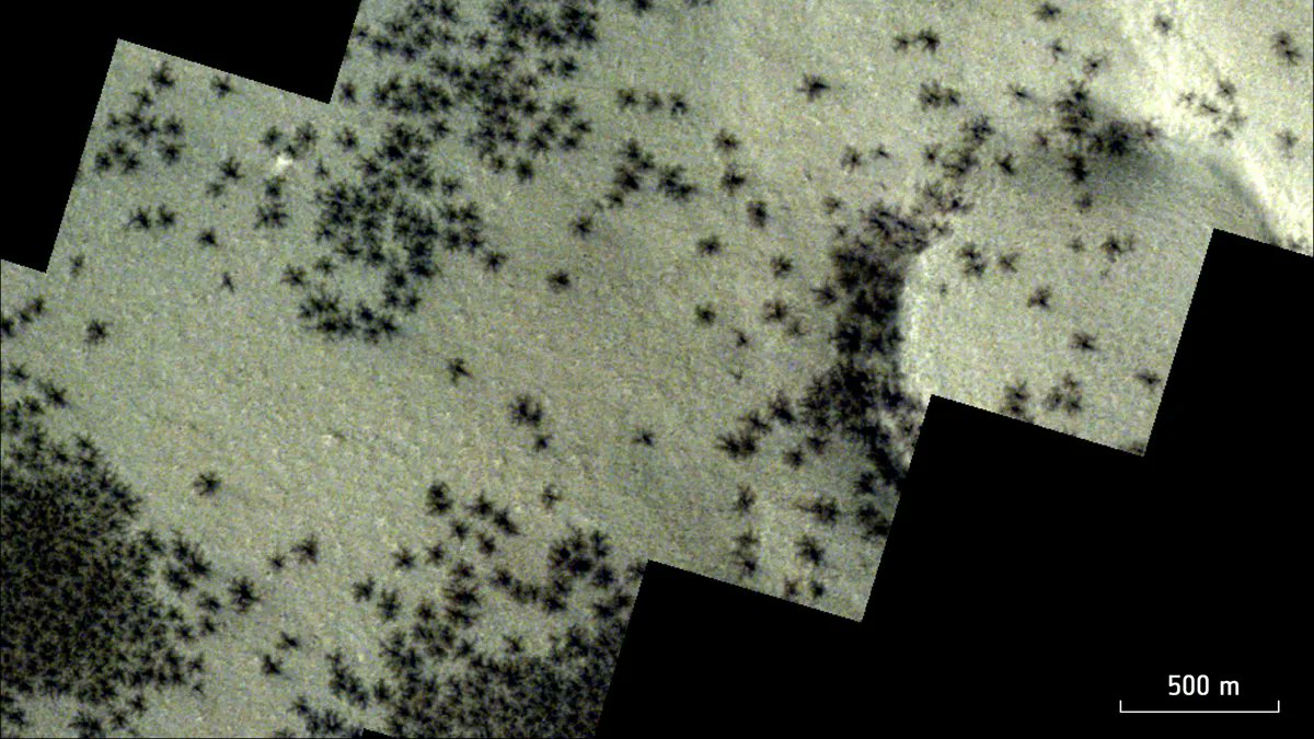 Small, dark, spider-like features were spotted across Mars' Inca City region, located near the planet’s south pole. (Image credit: ESA/DLR/FU Berlin)