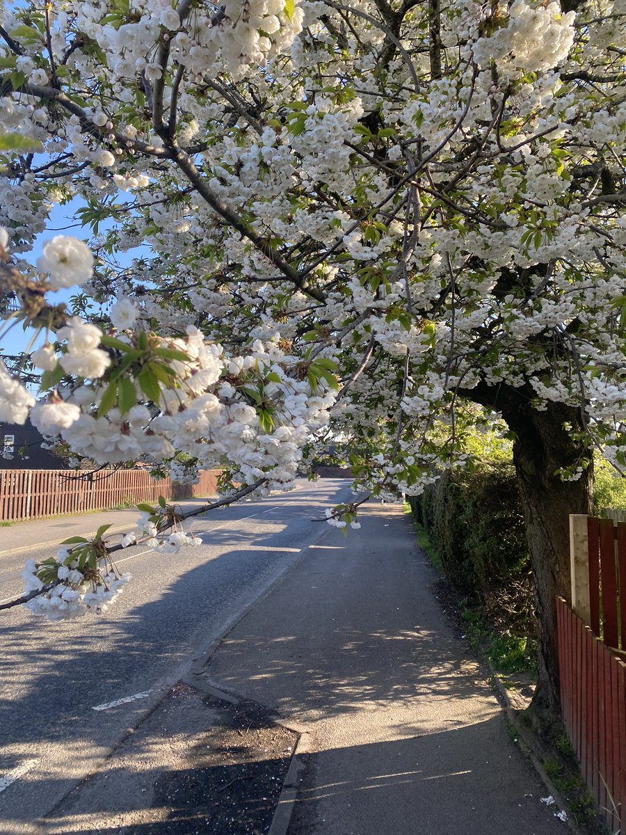 Siân Finlayson tweet media