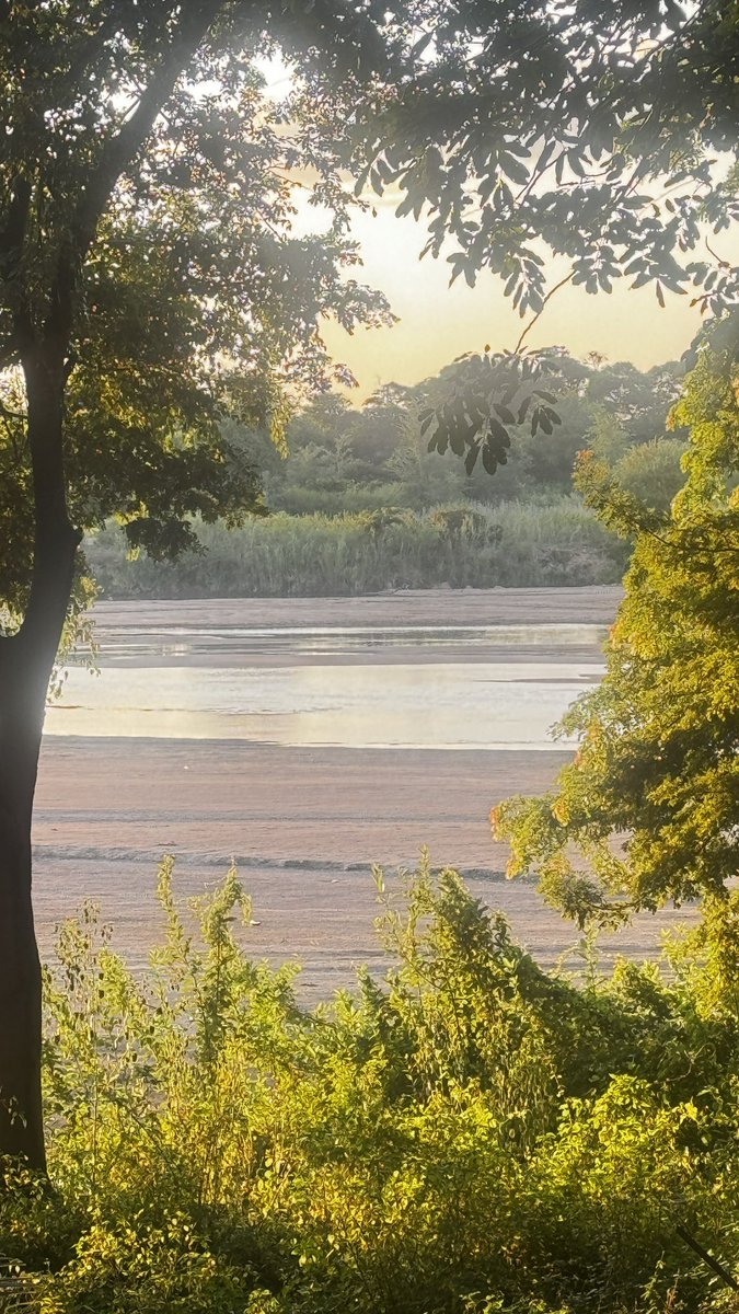 @KingJayZim @teamfulo This is Save River Checheche Chisumbanje area closer to one of the longest Jack Quinton bridge. The siltation is bad. That mountain reminds me of waMagaisa RIP.