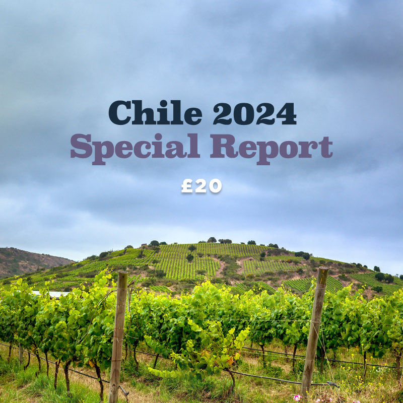 My biggest ever, 65,000-word Chile 🇨🇱 Special Report is live, full of insight, opinion, recommendations and nearly 900 tasting notes. You can download it for £20 from my site. Link in bio.