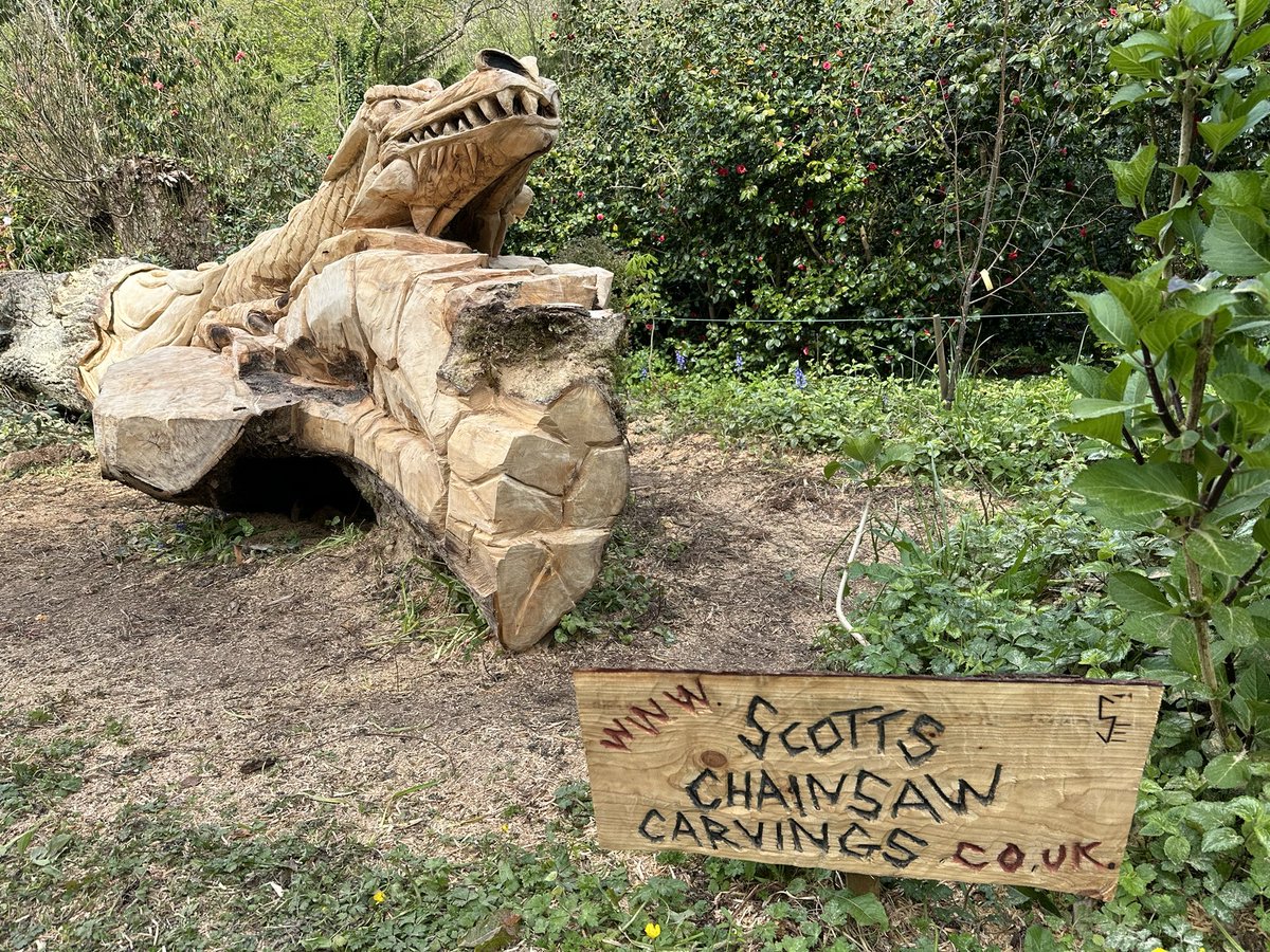 👀 @TGardenHouse #Dartmoor #Devon One of the former lime trees originally planted by a former vicar to celebrate the birth of his children. The tree fell in a winter storm a few years ago. An amazing #dragon seat created by Scott’s Chainsaw Carvings. #Woodensday