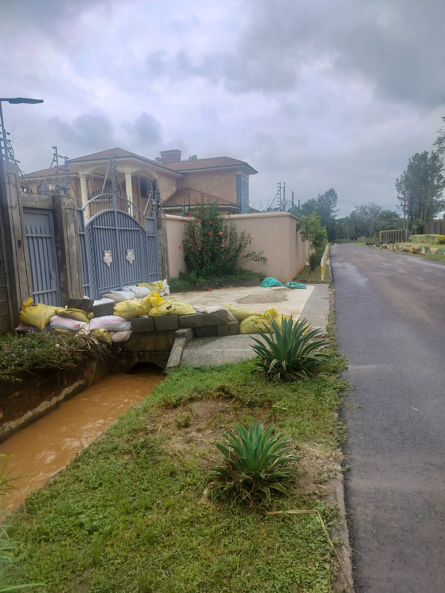 Alex  Mwathi tweet media