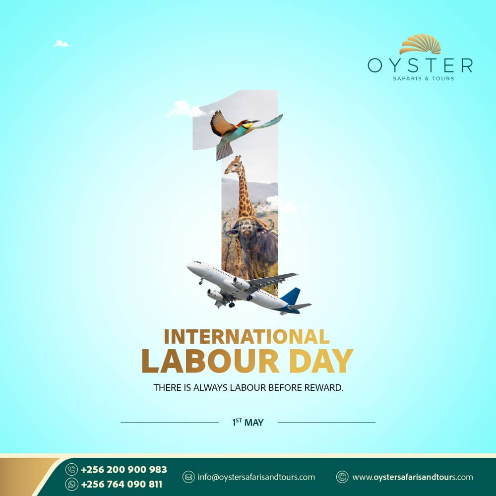 Happy Labour Day from all of us at Oyster Safaris and Tours! Today, we celebrate the hard work and dedication of everyone who makes travel dreams come true. Thank you for your commitment to excellence. #LabourDay2024 #BookaTripWithOyster #oystersafarisandtours