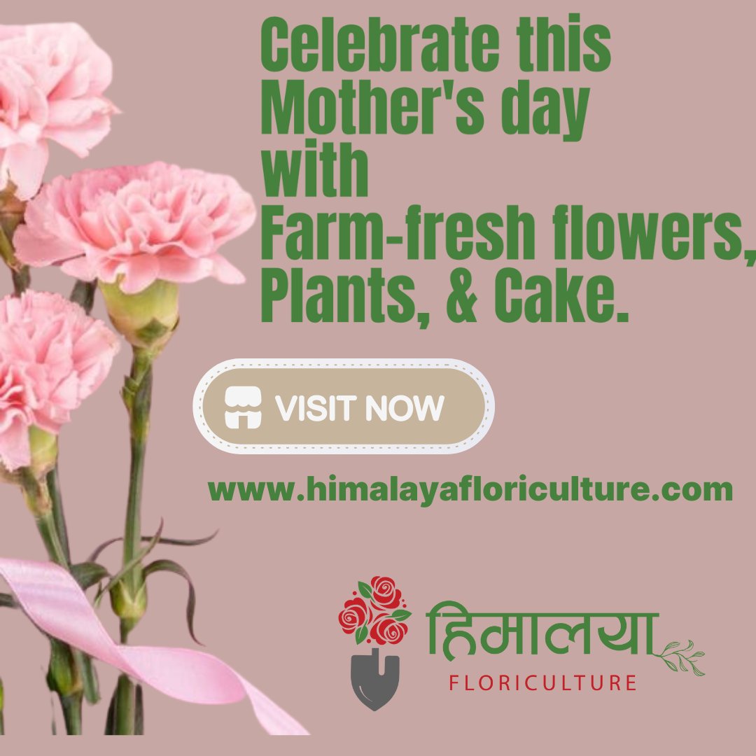 Make this Mother's Day bloom with farm-fresh flowers, vibrant plants, and delectable cakes! 🌷🍰 Pre-order now to ensure Mom's day is as sweet and colorful as she is. 💐
#MothersDay
#FarmFresh
#giftideas 
#flowersnearme 
#bouquetsnearme 
#roses 
#bouquets