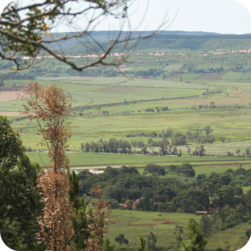 The countryside near Kakira, ten kilometres east of Jinja, April 20, 2024. The photo was taken from the terrace at Busoga College Mwiri atop Mwiri Hill. Photo by @TimKalyegira