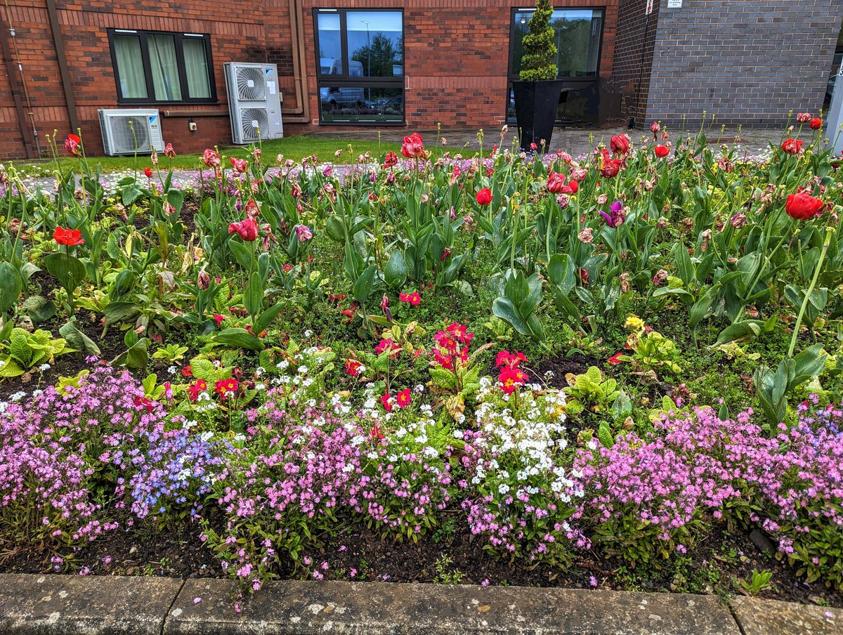 🌷An early  #WednesdayWellbeing walk on Warwick campus this morning before my leadership course 
#wellbeingwalk