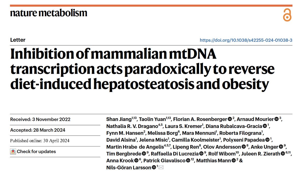 Read our new study:  nature.com/articles/s4225…
Treatment of obese mice with small molecule inhibitors of mtDNA transcription (IMTs) leads to marked beneficial metabolic effects. The weight is normalized, the fat deposition in liver disappears and glucose homeostasis is normalized.