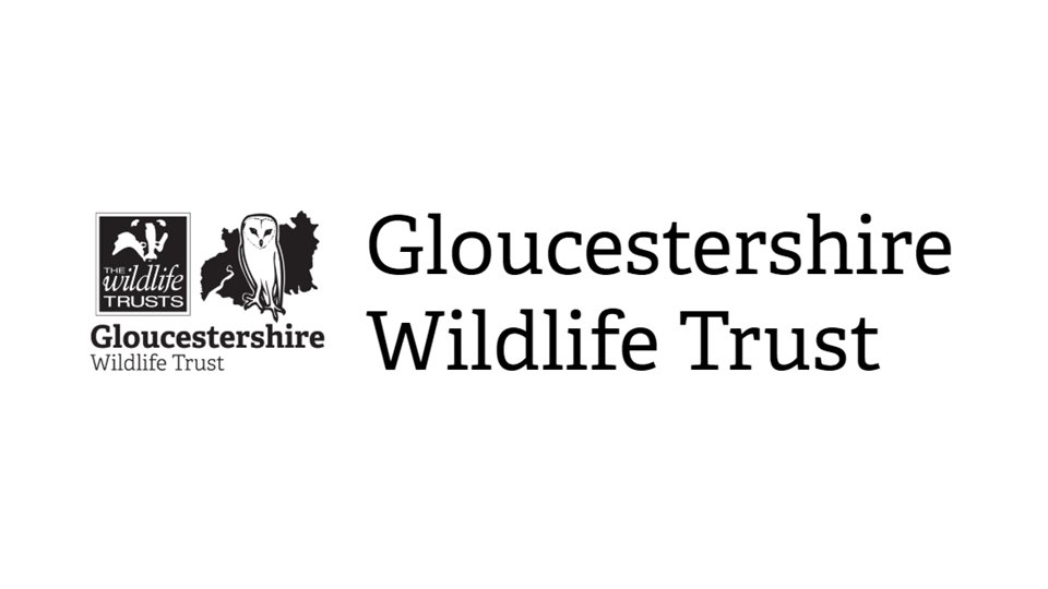 Head of Landscape Recovery - #Gloucester
This is a new role @gloswildlife, as part of a new structure within the Evidence and Connected Landscapes team. 

Apply here: ow.ly/6mzK50RmkF2

#GlosJobs #GreenJobs