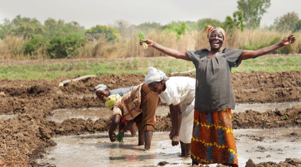 ✨ Explore our new publication with @FAO on the importance of land rights for sustainable prosperity. 

Learn how empowering communities with secure land tenure is crucial for environmental care and climate action. 

Full details here ➡️ unccd.int/news-stories/s…

#HerLand