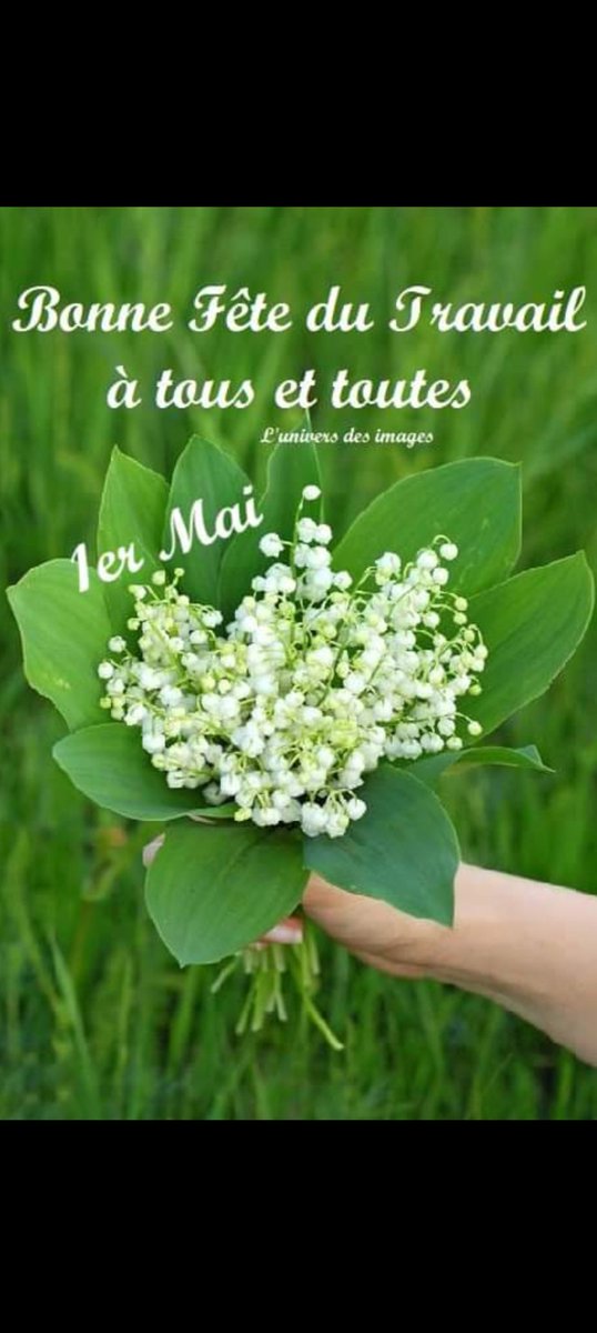 🍃🎋🌿🌾🍃🌿💛💚 Je vous offre ce bouquet de muguet porte bonheur, bon 1er Mai et bonne #fêtedutravail à tous et toutes bisous😘 💚💛🍃🎋🌿🌾🍃🌿