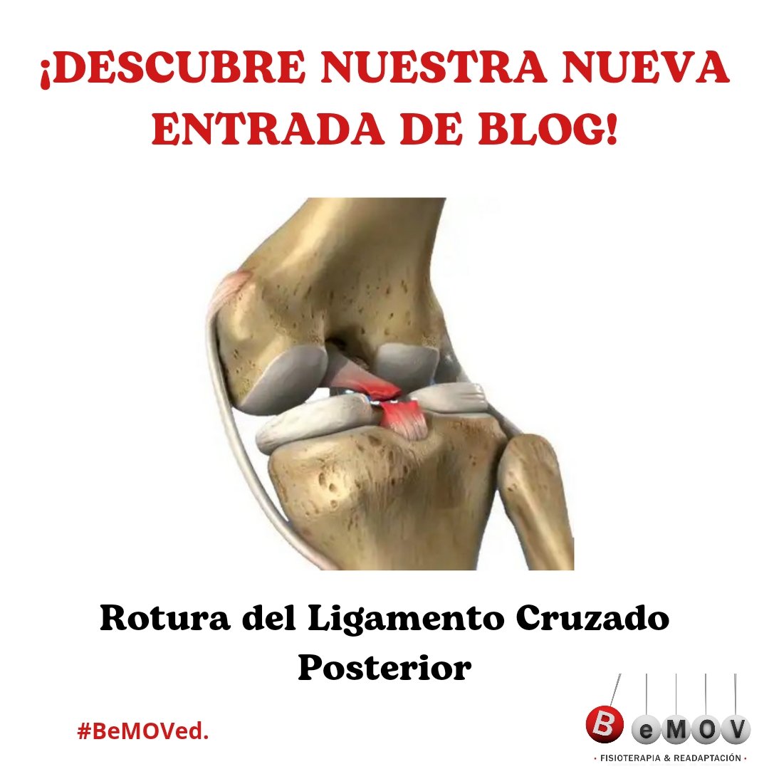 BeMOV Fisioterapia tweet media