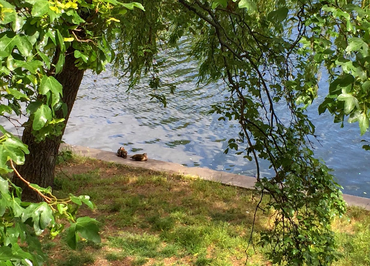 Momentsinthe's tweet image. Guten Morgen liebe Twitterer am 1. Mai. Für mich einer der schönsten Monate. Auf einen friedvollen, sonnigen Feiertag.