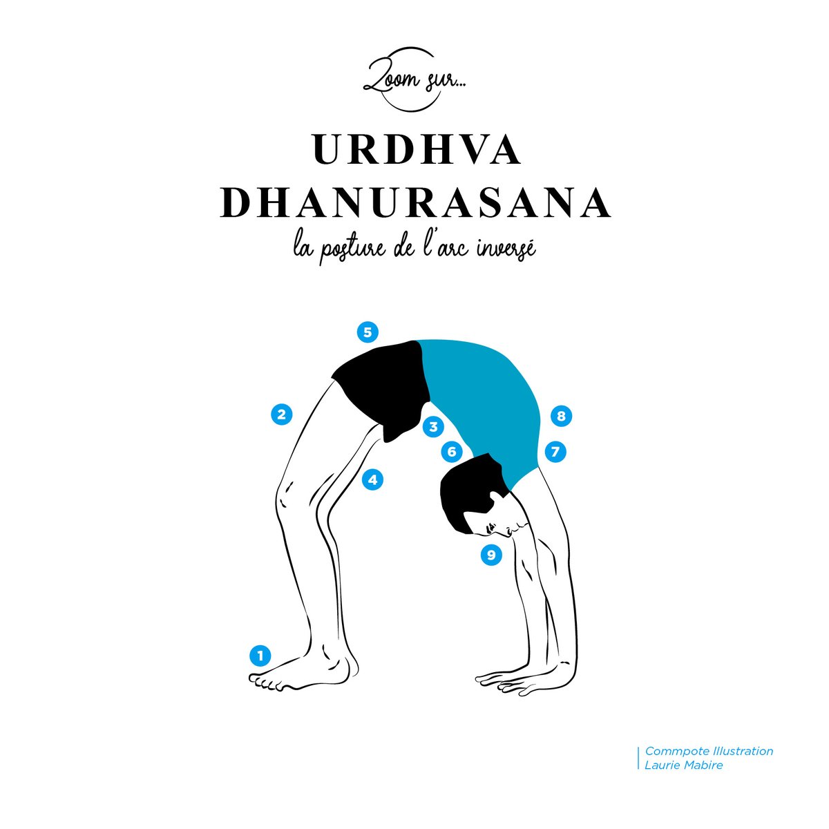 Zoom sur Asana
URDHVA DHANURASANA
La posture de l'arc inversé

Pour en savoir +
afyi.fr/articles/14675…

#yoga #yogaiyengar #afyi #franceyogaiyengar