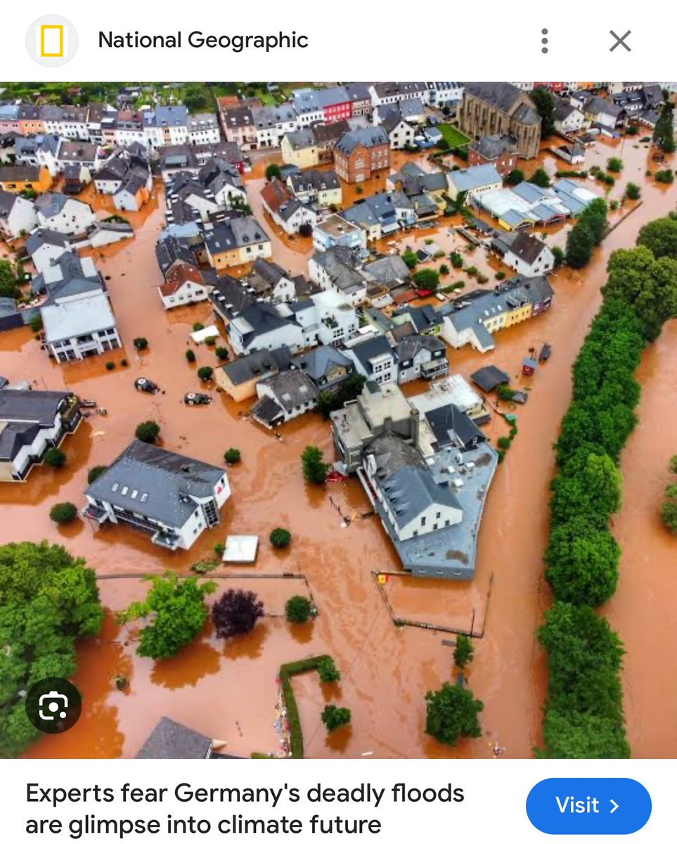 David Ndii tweet media