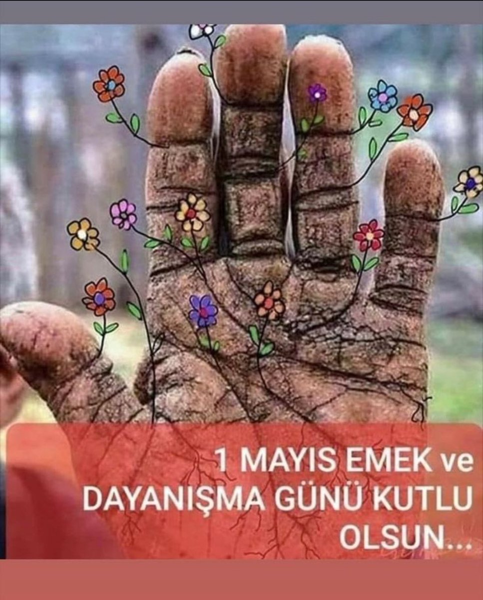 Halil (@qumarbazibo) on Twitter photo 