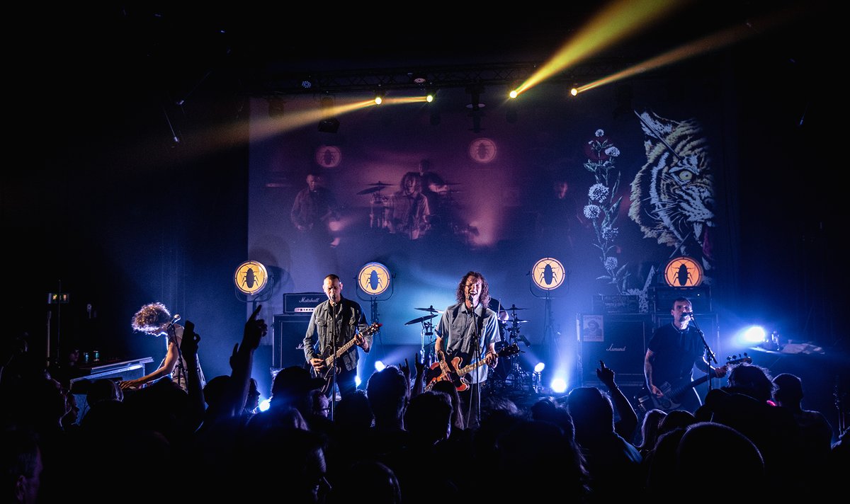 daniel pedersen tweet media