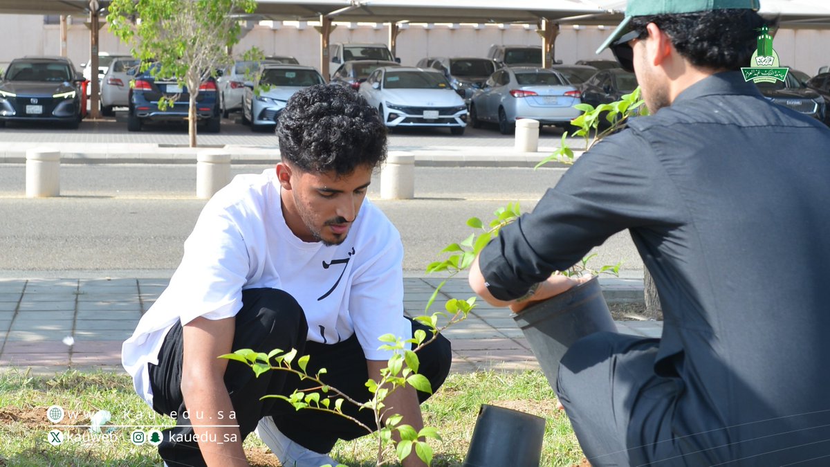 kauedu_sa's tweet photo. ضمن فعاليات #جامعة_الملك_عبدالعزيز بمناسبة #أسبوع_البيئة نظمت كلية العلوم البيئية بالتعاون مع الإدارة العامة للمرافق، وبمشاركة من منسوبي الجامعة وطلابها، فعالية لزراعة أكثر من 100 شتلة في الحرم الجامعي.
تأتي هذه الفعالية كجزء من جهود الجامعة لتعزيز الوعي بأهمية الحفاظ على البيئة، من خلال تشجيع الممارسات المستدامة ونشر ثقافة زراعة الأشجار.
#تعرف_بيئتك