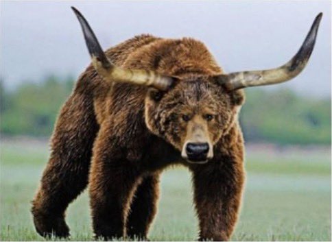 MetaInsiderGR's tweet image. Ελααα καλημέρα και καλό μήνα σε όλους!! 🥳🥳 Εάν δεν πεις καλημέρα και καλό μήνα στα Comments, θα βγει αυτό το πλάσμα από κάτω και θα κυνηγάει το Portofolio σου μέχρι το τέλος του Q3!!

Κανόνισε 👀🐂🐻