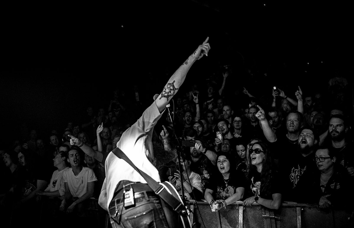 daniel pedersen tweet media