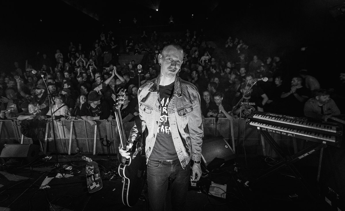 daniel pedersen tweet media