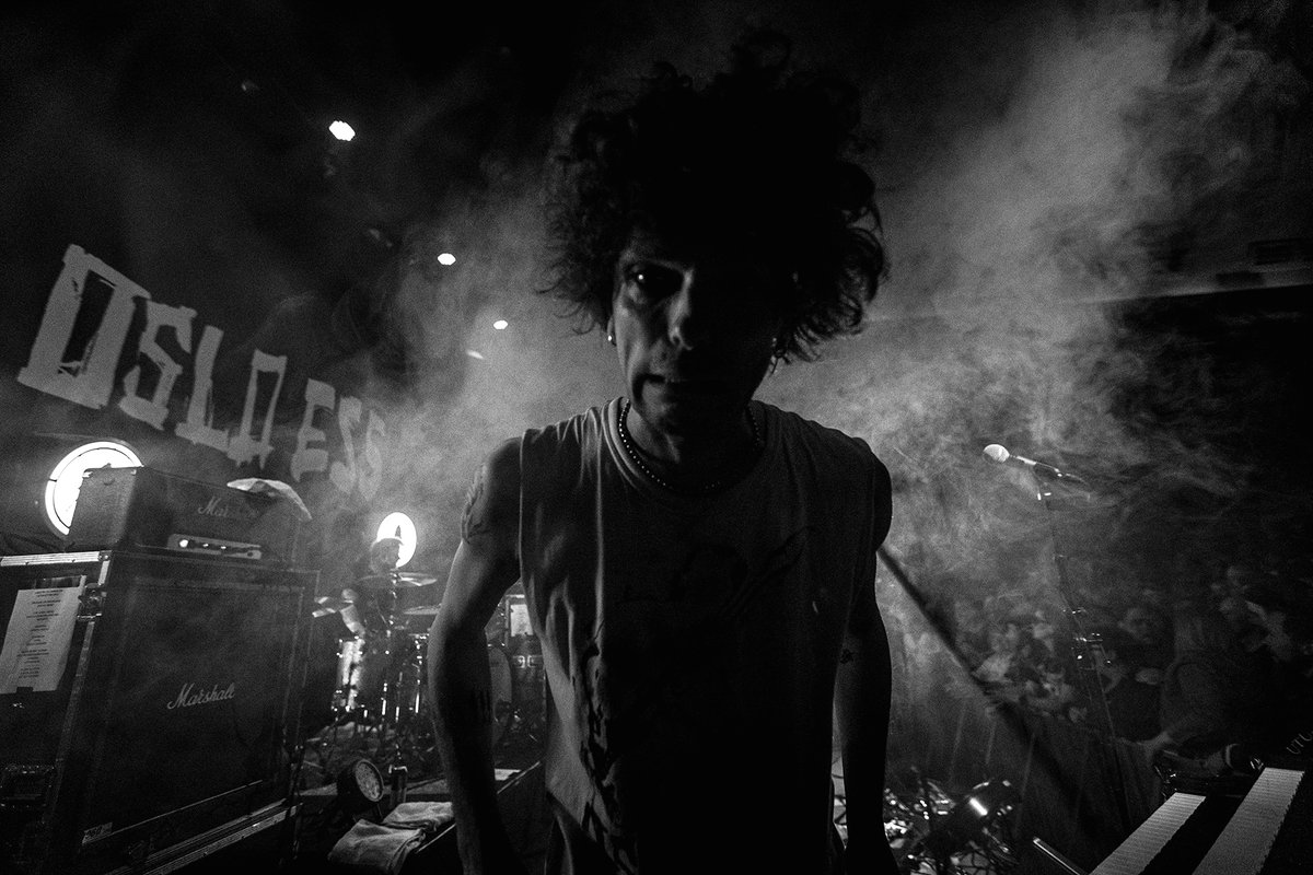 daniel pedersen tweet media