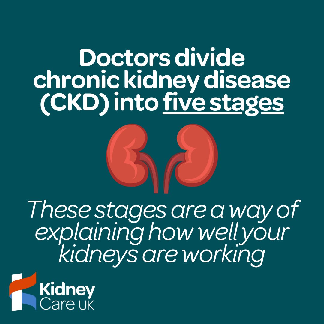 🤔 Newly diagnosed with #ChronicKidneyDisease (#CKD): kidneycareuk.org/kidney-disease… ▶️ Stage 1️⃣ CKD kidneycareuk.org/kidney-disease… ▶️ Stage 2️⃣ CKD kidneycareuk.org/kidney-disease… ▶️ Stage 3️⃣ CKD kidneycareuk.org/kidney-disease… ▶️ Stage 4️⃣ CKD kidneycareuk.org/kidney-disease… ▶️ Stage 5️⃣ CKD kidneycareuk.org/kidney-disease…