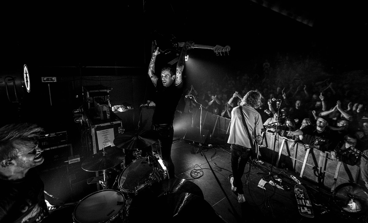 daniel pedersen tweet media