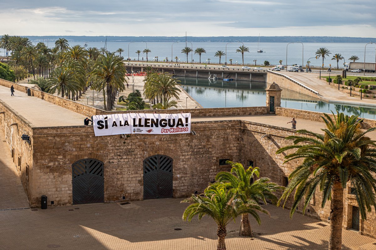 ✊ Perquè estimam la nostra llengua i estimam Mallorca, diumenge dia 5 de maig sortirem al carrer per dir #Síalallengua 💥