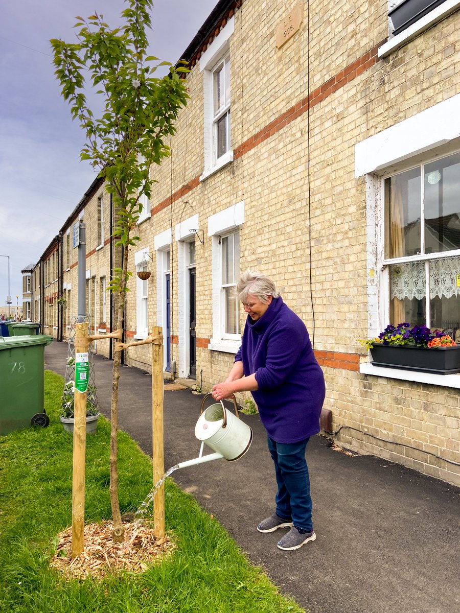 It's #WateringWednesday NEW street trees🌳 need your love...& water🚿 It’s a hard life living in a pavement, but YOU can make all the difference by giving your nearest NEW tree a weekly water 💪Help it better establish 🌞Get through dry weather 👷Play your part PLEASE SHARE