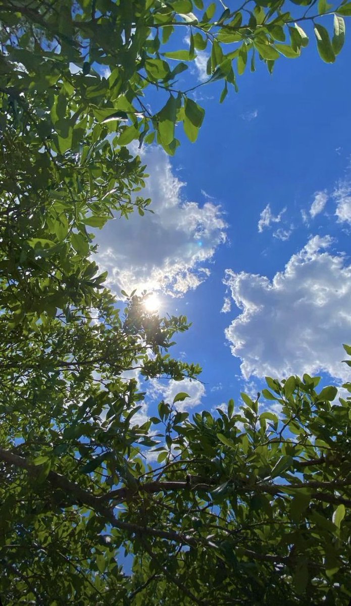 www's tweet image. Happy Monday! 

I hope everyone is doing great!