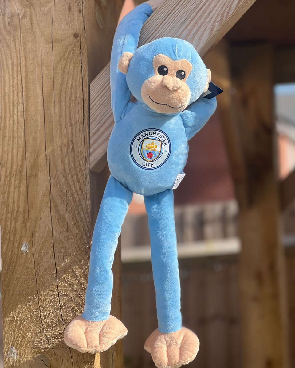 Hanging Monkey 🩵

Shop our hanging monkeys in Manchester City and Arsenal 🩵❤️👇🏼

With Velcro on their hands, you can hang them up anywhere 🙊

ebay.co.uk/sch/i.html?_dk…

#bandcsports #footballteddy #football #footballlove #footballmerchandise #footballmemorabilia #footballfans