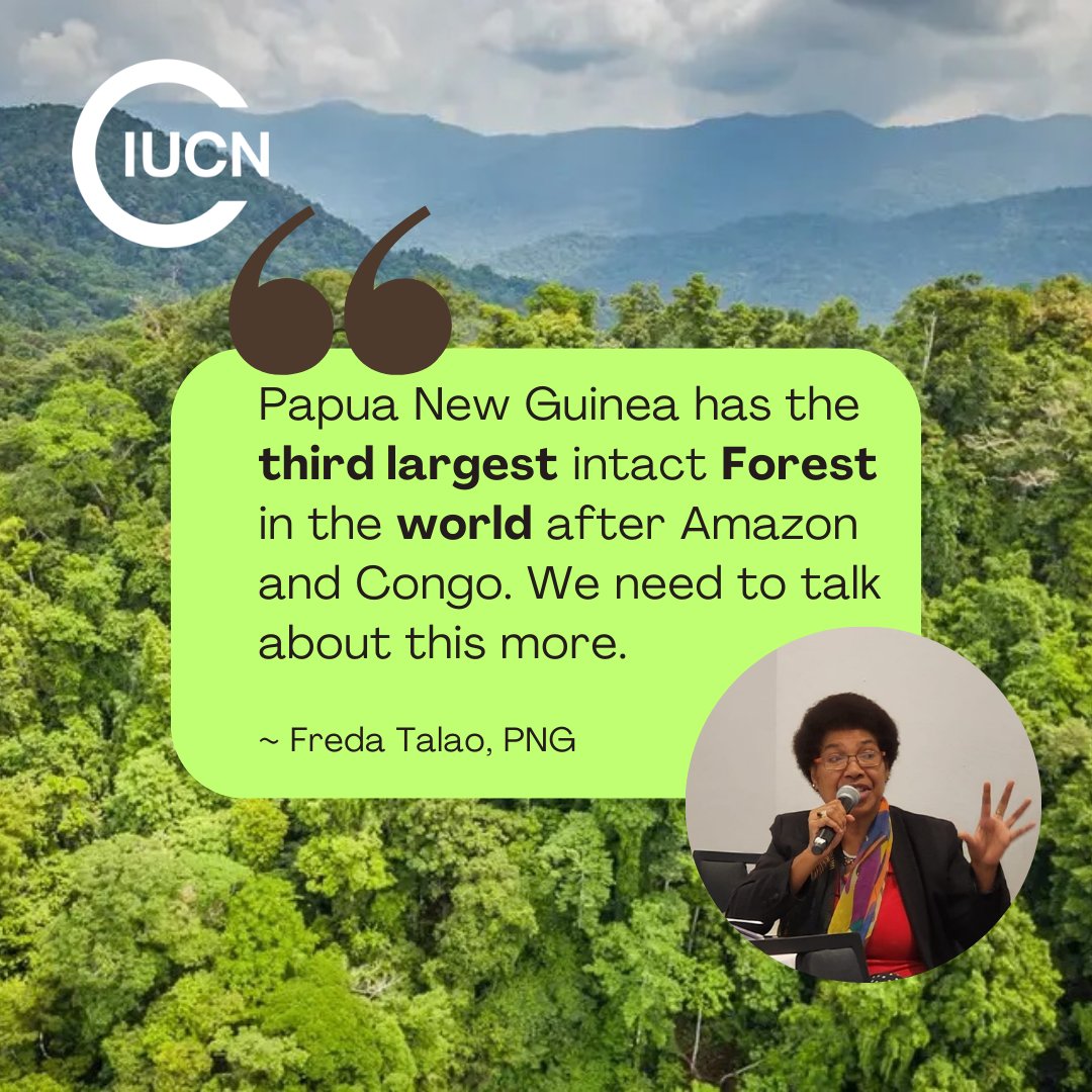 DID YOU KNOW 🔎 #PNG 🇵🇬 has the 3rd largest tropical forest area in the world after the Amazon & Congo basin, @IUCN Member, @EDOLawyers Ms Freda Talao reminded the participants during the Members' update. The 2-day Members prepatory dialogue on the ORCF ended on a high note. 🌿