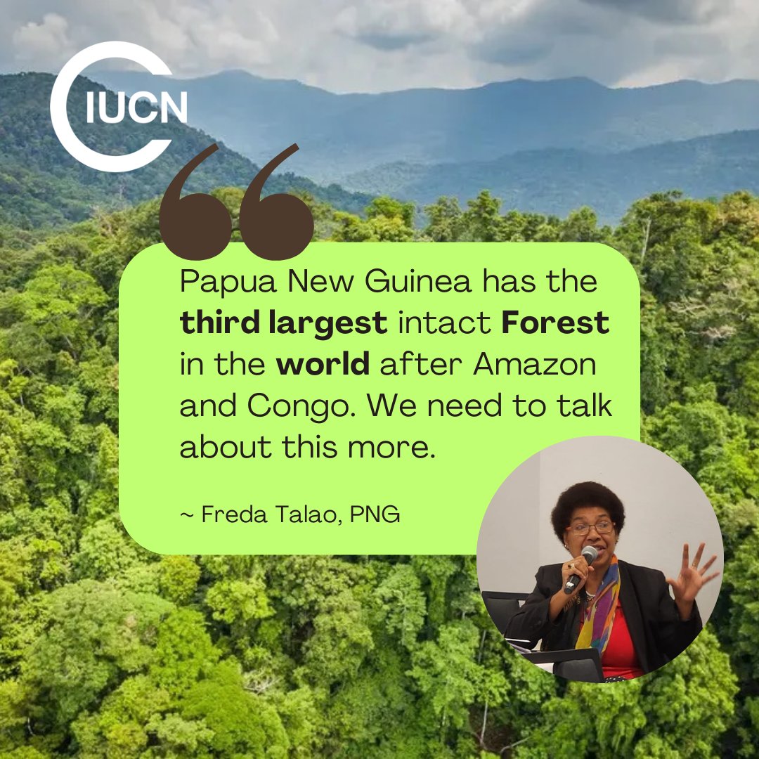 DID YOU KNOW 🔎

#PNG 🇵🇬 has the 3rd largest tropical forest area in the world after the Amazon & Congo basin, @IUCN Member, @EDOLawyers Ms Freda Talao reminded the participants during the Members' update. The 2-day Members prepatory dialogue on the ORCF ended on a high note. 🌿