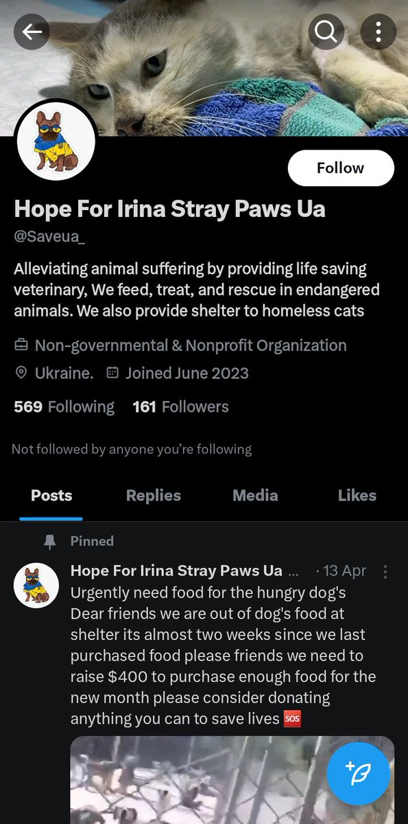 Hi @vu_intl I just wanted to warn you & your followers that both of these #Ukraine #Ukrainian #catrescue accounts are FAKE and are part of a wider organised fraud network of NINE CRIMINAL #catrescue accounts. 🚨 THESE ACCOUNTS ARE FAKE 🚨👇